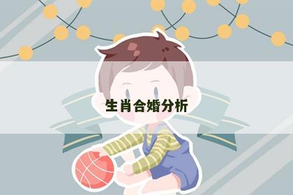 生肖合婚分析