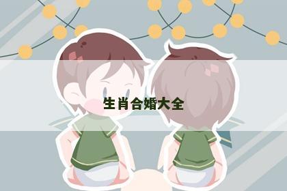 生肖合婚大全