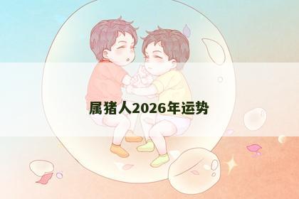 属猪人2026年运势
