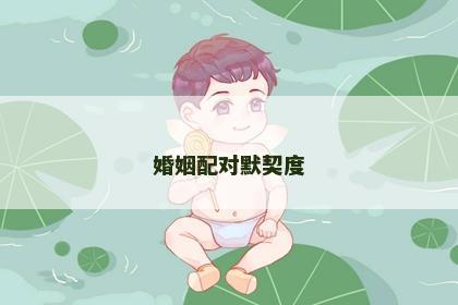 婚姻配对默契度