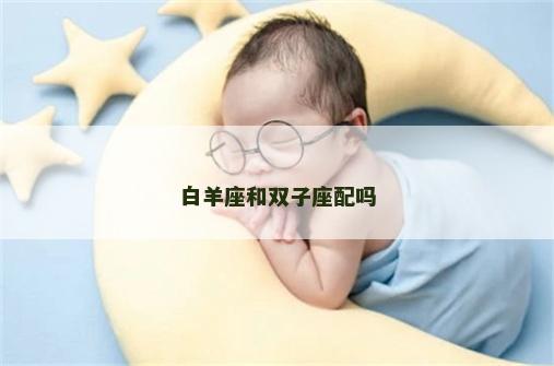 白羊座和双子座配吗