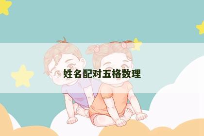 姓名配对五格数理