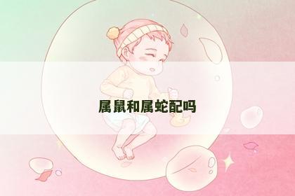 属鼠和属蛇配吗