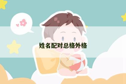 姓名配对总格外格